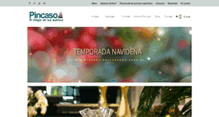 Desktop Screenshot of pincaso.com